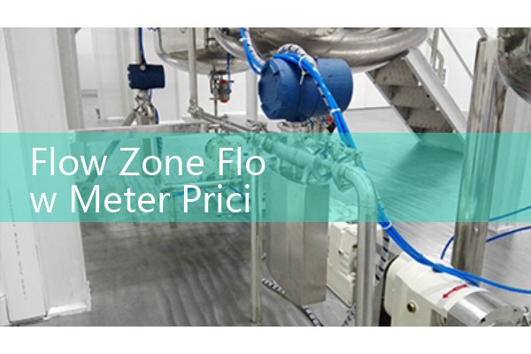 Flow Zone Flow Meter Pricing Models Comparison: Evaluating Initial Equipment Sourcing vs Lifetime Support Cost